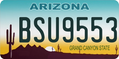 AZ license plate BSU9553