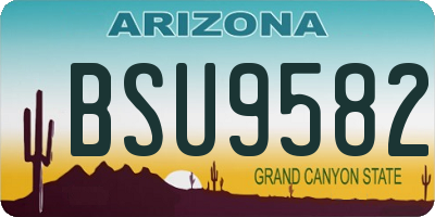 AZ license plate BSU9582