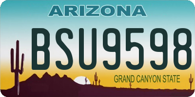 AZ license plate BSU9598
