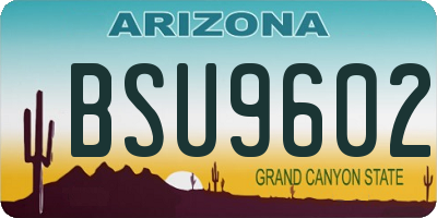 AZ license plate BSU9602
