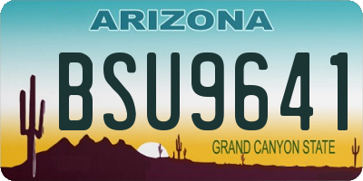 AZ license plate BSU9641