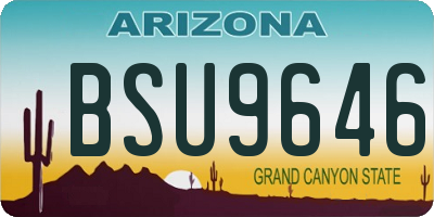 AZ license plate BSU9646