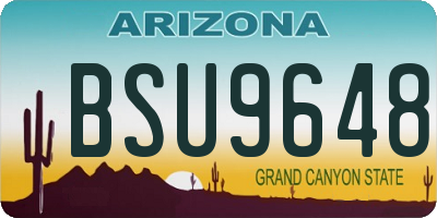 AZ license plate BSU9648
