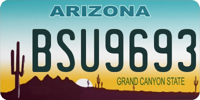 AZ license plate BSU9693