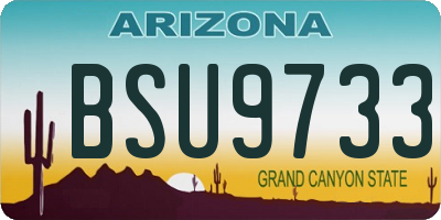 AZ license plate BSU9733