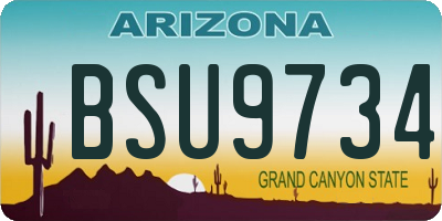 AZ license plate BSU9734