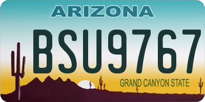 AZ license plate BSU9767