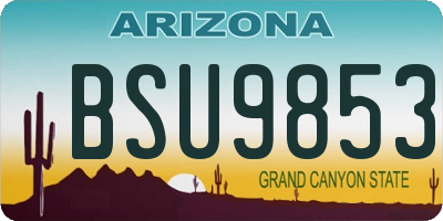 AZ license plate BSU9853