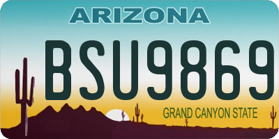 AZ license plate BSU9869