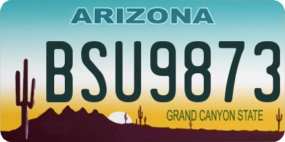 AZ license plate BSU9873