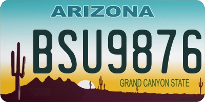 AZ license plate BSU9876