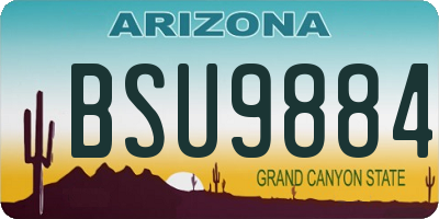 AZ license plate BSU9884