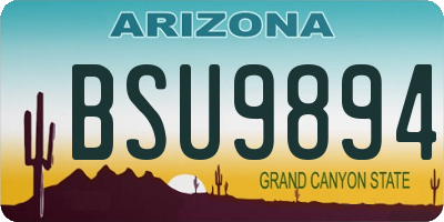 AZ license plate BSU9894