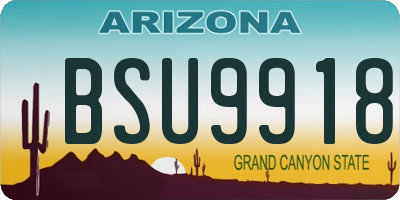 AZ license plate BSU9918
