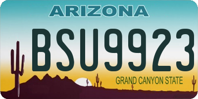 AZ license plate BSU9923
