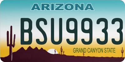 AZ license plate BSU9933