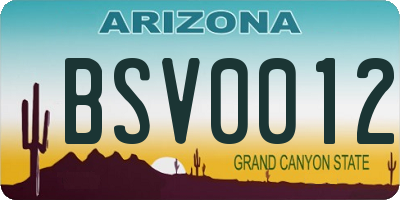 AZ license plate BSV0012