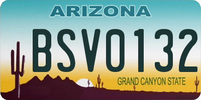 AZ license plate BSV0132