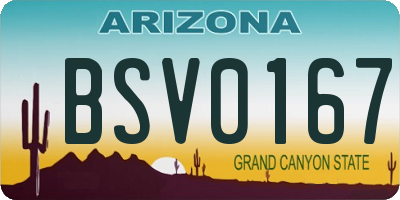 AZ license plate BSV0167