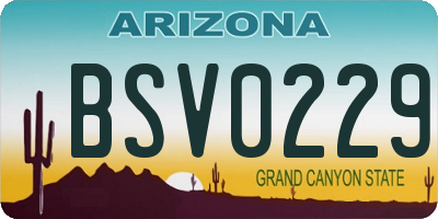 AZ license plate BSV0229