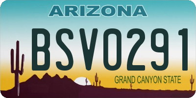 AZ license plate BSV0291