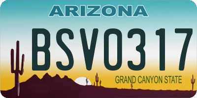 AZ license plate BSV0317