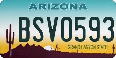 AZ license plate BSV0593