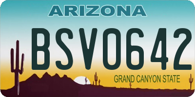 AZ license plate BSV0642