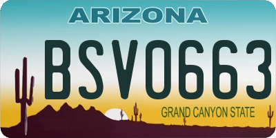 AZ license plate BSV0663
