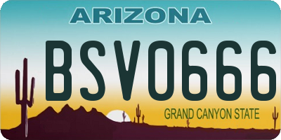 AZ license plate BSV0666