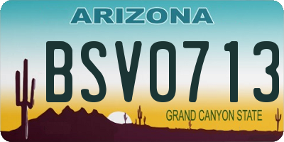 AZ license plate BSV0713