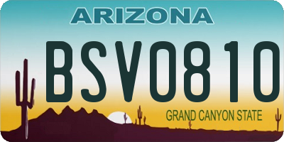 AZ license plate BSV0810