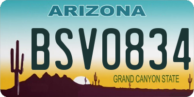 AZ license plate BSV0834