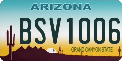 AZ license plate BSV1006