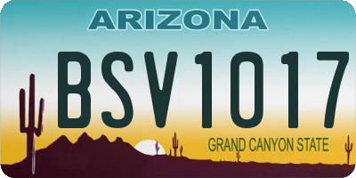 AZ license plate BSV1017