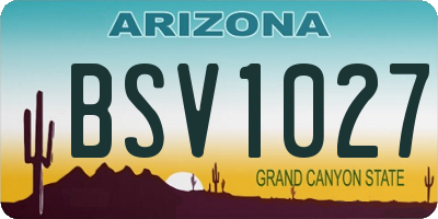 AZ license plate BSV1027
