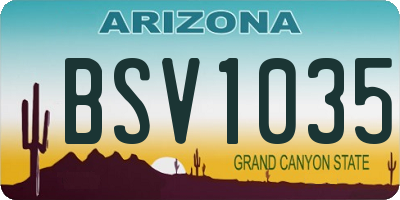 AZ license plate BSV1035