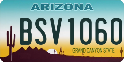 AZ license plate BSV1060