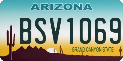 AZ license plate BSV1069