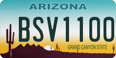 AZ license plate BSV1100