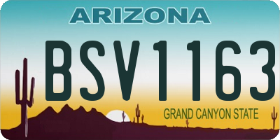 AZ license plate BSV1163