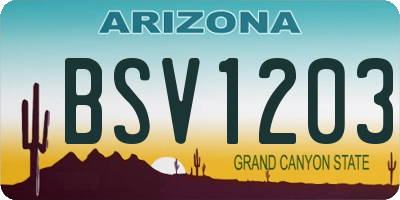 AZ license plate BSV1203