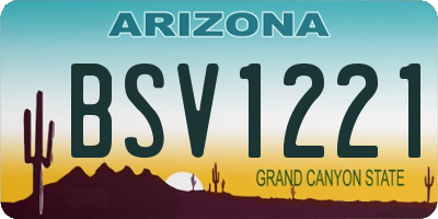 AZ license plate BSV1221