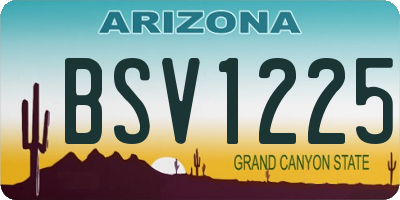 AZ license plate BSV1225