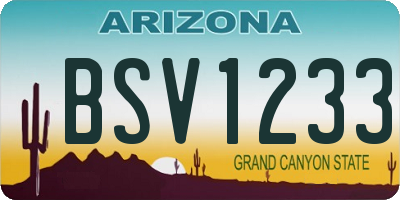 AZ license plate BSV1233