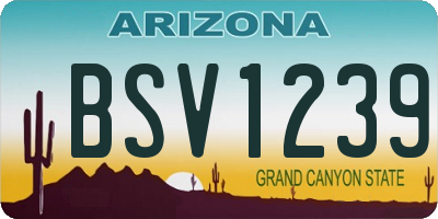 AZ license plate BSV1239