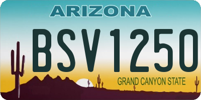 AZ license plate BSV1250