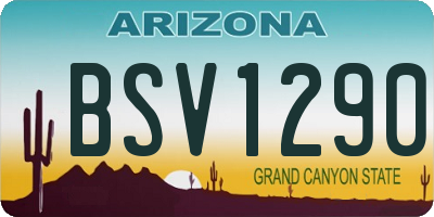 AZ license plate BSV1290