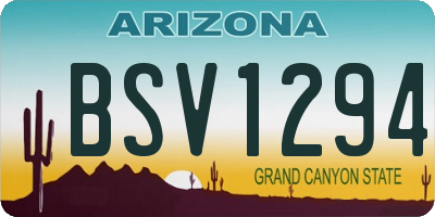AZ license plate BSV1294