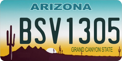 AZ license plate BSV1305